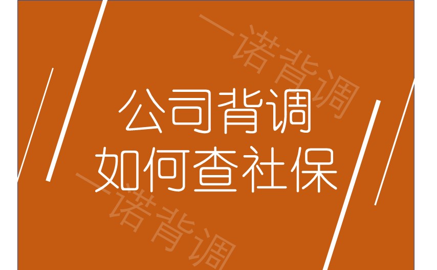 公司背调如何查社保